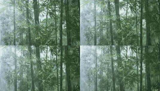 唯美竹林 竹林迷雾高清在线视频素材下载