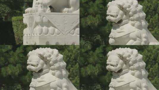 建筑门口的狮子雕塑石狮子高清在线视频素材下载