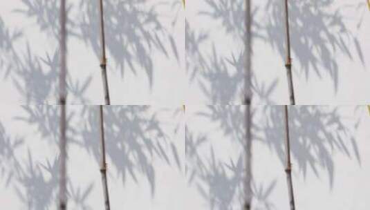 白色墙面竹子竹叶婆娑写意光影高清在线视频素材下载