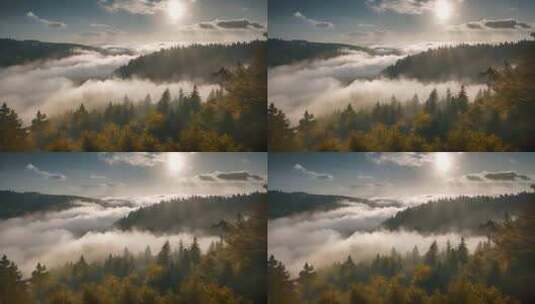 原始森林云雾缭绕树林光影阳光云海空境写意高清在线视频素材下载