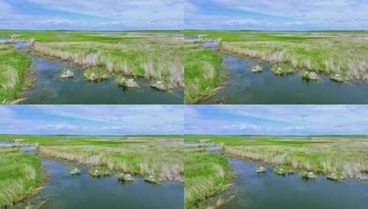 内蒙古辉河湿地航拍高清在线视频素材下载