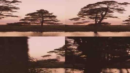 特写日落时分夕阳照亮森林湖泊高清在线视频素材下载
