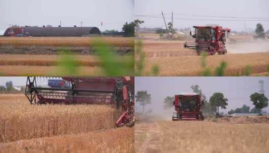 收割 割麦子 联合收割机 收割机 农业高清在线视频素材下载