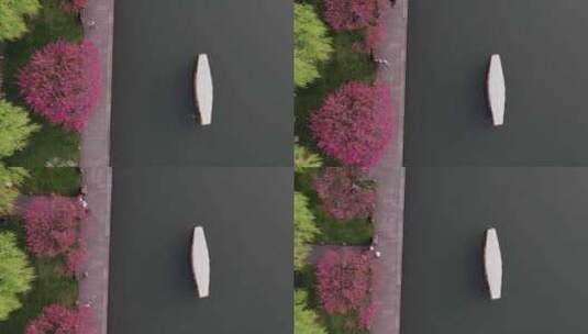杭州西湖断桥桃红柳绿高清在线视频素材下载