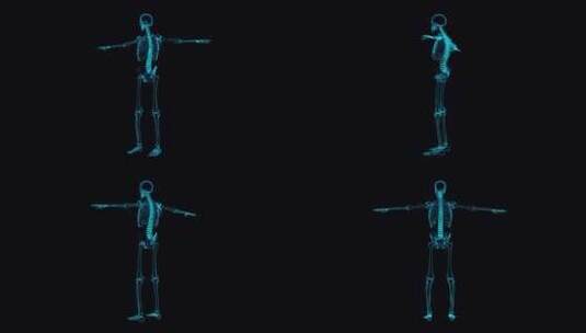 人体骨骼透视全息高清在线视频素材下载