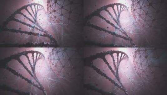 DNA基因生物研究医疗_4K高清在线视频素材下载