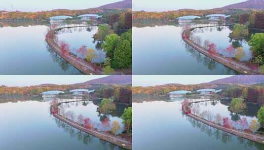 南京秋天 前湖公园 秋天 植物博物馆高清在线视频素材下载