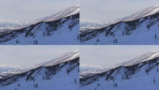 航拍新疆冬季喀纳斯湖雪景雪山森林冰河晨雾高清在线视频素材下载