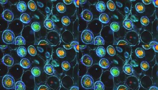 生物细胞 医疗科研高清在线视频素材下载