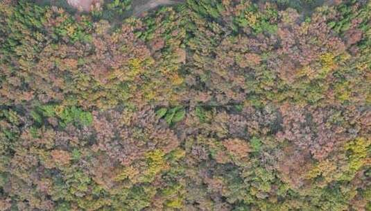 四川德阳罗江区附近山林秋色高清在线视频素材下载