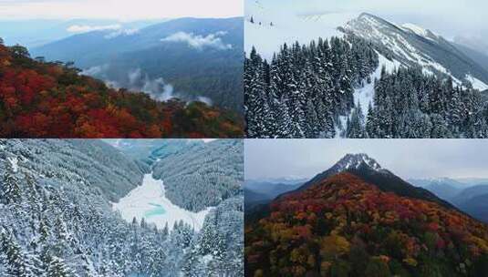 被雪覆盖的山林景象高清在线视频素材下载