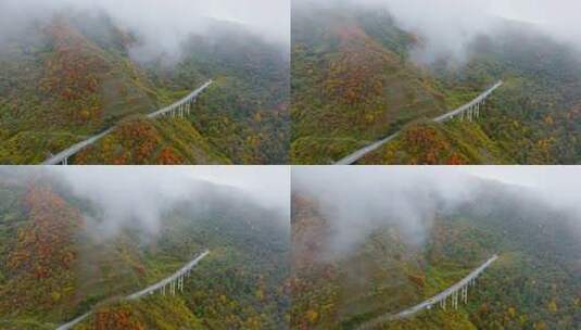 航拍四川绵茂公路秋天美丽风景高清在线视频素材下载