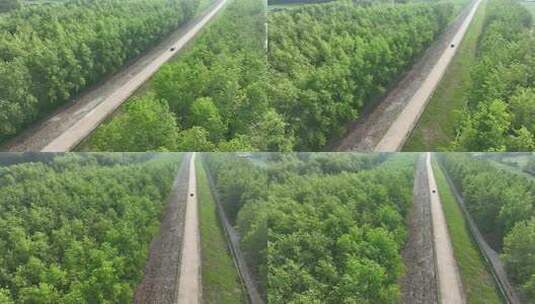 乡村公路航拍汽车行驶在农村小路丛林间跟拍高清在线视频素材下载