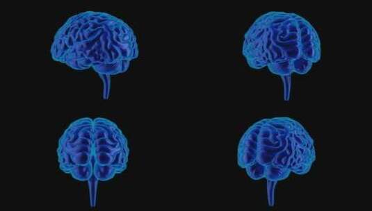 医学 大脑 脑科学 三维 脑ct1 模型高清在线视频素材下载