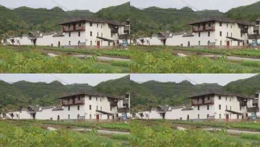 小屋前面一片稻田高清在线视频素材下载