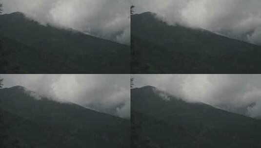 森林雨季云雾涌动延时高清在线视频素材下载