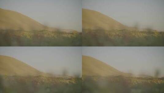 沙漠绿洲 合成视频素材 换天空 换背景高清在线视频素材下载