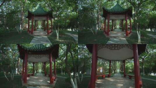 武汉东湖风景区湖北书画院高清在线视频素材下载