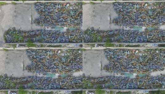 废弃共享单车坟场高清在线视频素材下载