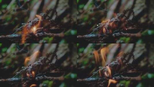 自燃的枯枝引发森林大火高清在线视频素材下载