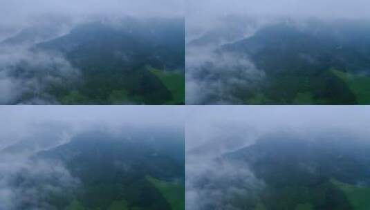 云海中的原始森林高清在线视频素材下载