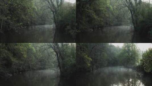 清晨森林河流雾气蒙蒙高清在线视频素材下载