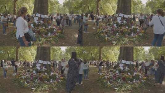 绿色公园鲜花贡品和哀悼者的大镜头高清在线视频素材下载