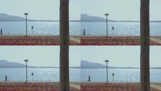 孤独的女人在海边高清在线视频素材下载