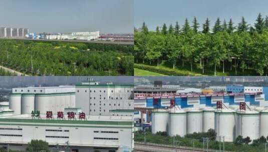 西安爱菊粮油工业集团粮油加工厂西安宣传片高清在线视频素材下载