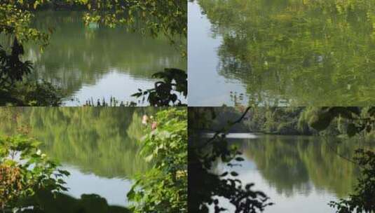 杭州自然风景高清在线视频素材下载