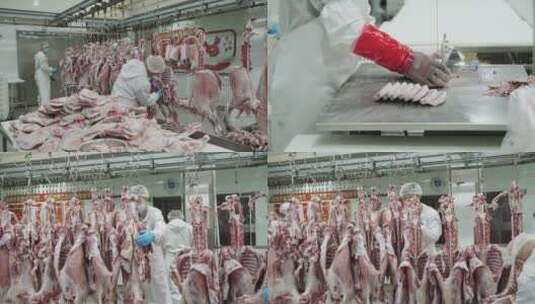 宁夏滩羊现代化牛肉羊肉加工厂4k高清在线视频素材下载