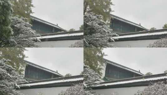 杭州冬天雪景高清在线视频素材下载