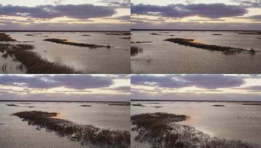 黄河三角洲湿地日出航拍高清在线视频素材下载