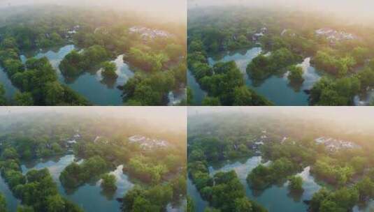 杭州西溪湿地初夏晨雾美景航拍高清在线视频素材下载