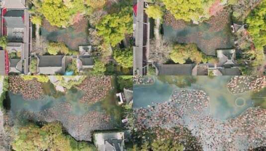 上海青浦区古典园林曲水园风光高清在线视频素材下载