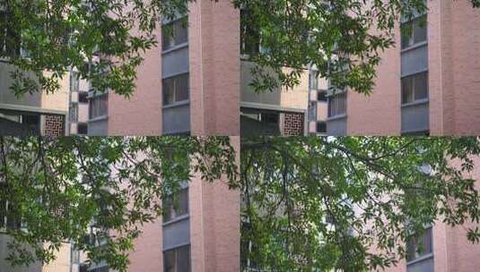 居民楼小区住宅区空境素材视频高清在线视频素材下载