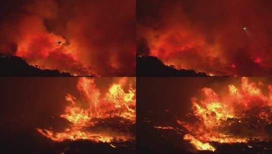 4k森林火灾大火航拍自然灾害生灵涂炭高清在线视频素材下载