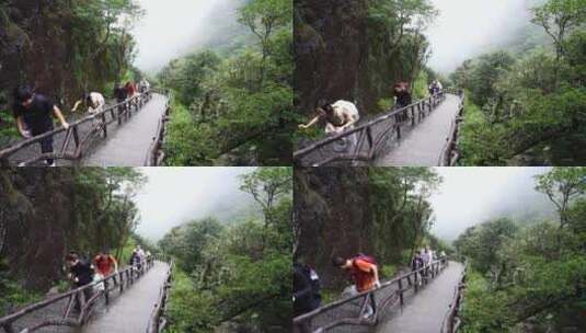 清晨爬山登山上楼梯背影脚步特写森林爬楼梯高清在线视频素材下载