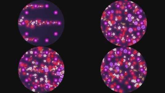 圆桌粒子花瓣高清在线视频素材下载