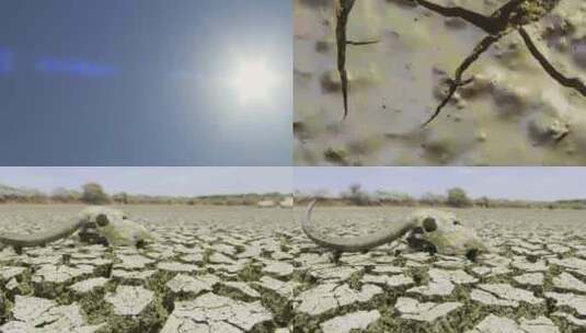 甘肃沙漠干旱土地裂开延时农业生态高清在线视频素材下载