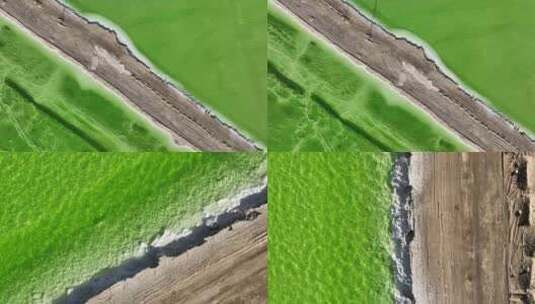 察尔汗盐湖的绿色岸线高清在线视频素材下载