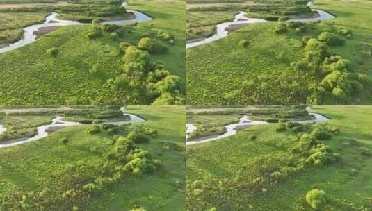 呼伦贝尔自然风光河流湿地夏日晨景高清在线视频素材下载