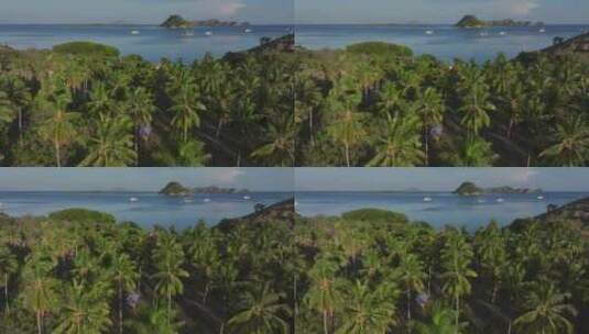 印尼东努沙登加拉热带岛屿棕榈树自然风光高清在线视频素材下载