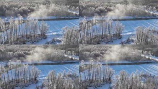 雪原冰河晶莹树挂冻雾高清在线视频素材下载