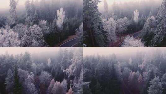 森林里的迷雾航拍高清在线视频素材下载