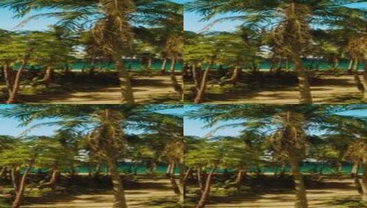 背景是棕榈树和海洋的海滩高清在线视频素材下载