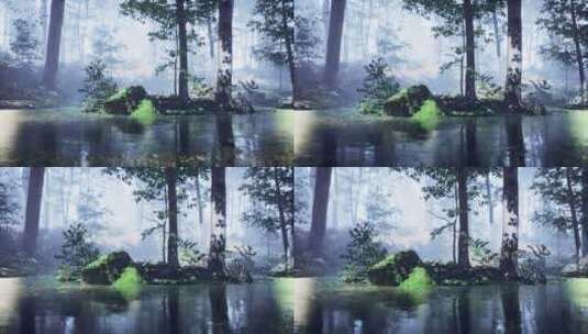 有雾的森林池塘上的雾高清在线视频素材下载