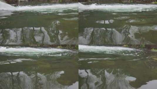 清澈河水河流水源水流溪流溪水高清在线视频素材下载
