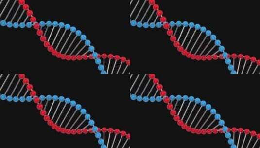 DNA 3d模型动画高清在线视频素材下载