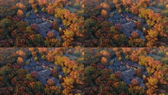 南京灵谷景区灵谷寺航拍高清在线视频素材下载